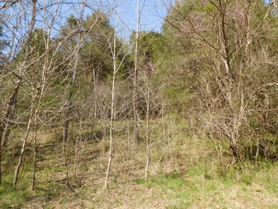DSCN0768