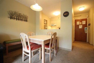 28 Packard Rd S unit 316, Waterville Valley, NH 03215 - photo 2