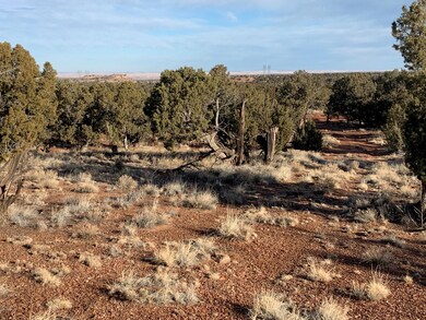 On property roadway and views