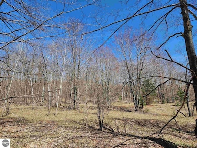 VL Wilamont Cir, Lakes of the North, MI 49659 - photo 4