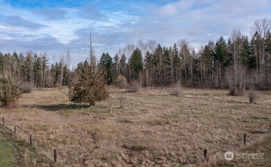 11426 264th St E, Graham, WA 98338 - photo 5