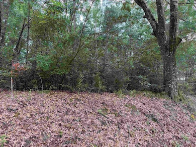 00 Blackmon Rd, Red Level, AL 36421 - photo 6