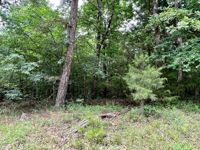 7 Greene 609 Rd, Paragould, AR 72450 - photo 4