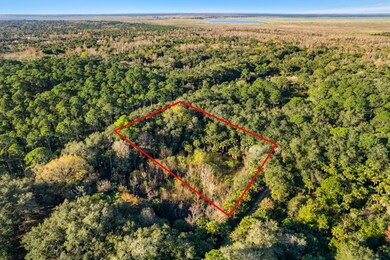 2-web-or-mls-DJI_0071-Lot Lines