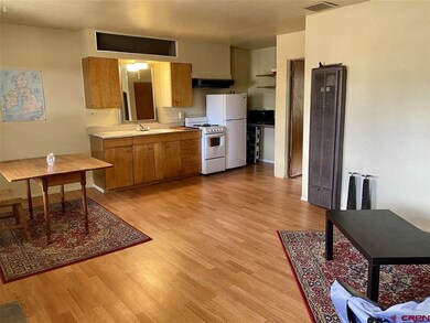 634 E 8th Ave unit 12, Durango, CO 81301 - photo 3