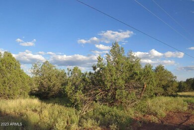 2470 N Luana unit 809, Ash Fork, AZ 86320 - photo 6