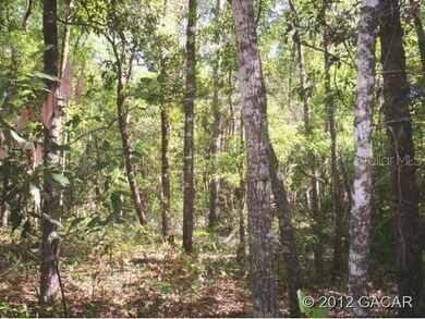 0 276th Place, Branford, FL 32008 - photo 3