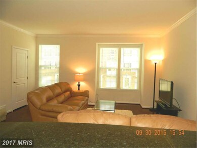 22867 Chestnut Oak Terrace, Sterling, VA 20166 - photo 5