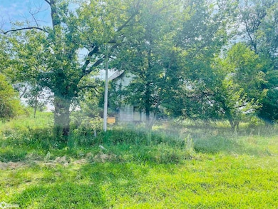 1000 Ellison Creek Rd, Carman, IL 61425 - photo 4