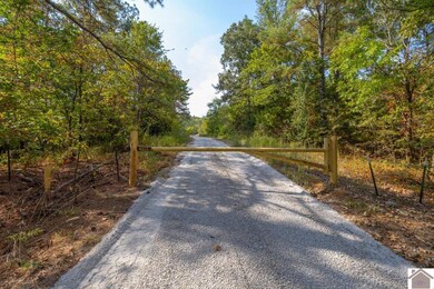 000 Cedar Grove Rd unit (Livingston Co. KY 9, Salem, KY 42078 - photo 4