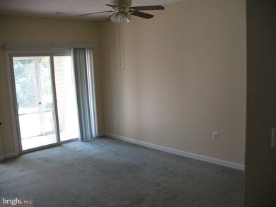 313 Willrich Cir unit 313, Forest Hill, MD 21050 - photo 6