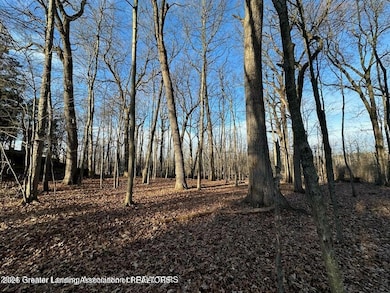 6445 Pine Hollow Dr, East Lansing, MI 48823 - photo 2