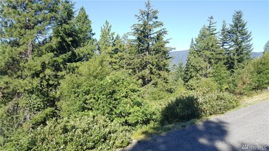 0 Breckenridge Dr unit 1006445, Ronald, WA 98940 - photo 3