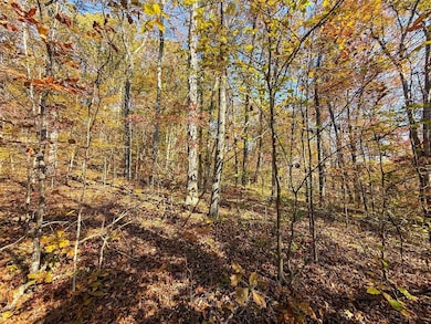 0 E Little Forest Run Rd, Reedsville, OH 45772 - photo 2