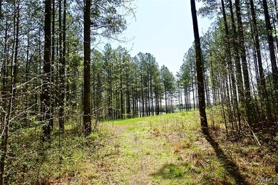 Path to clearing