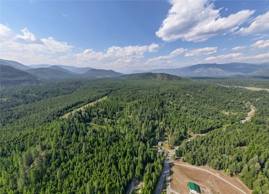 Bird's eye view of a forest and mountains