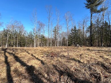 Lot 46-2 Dooe Rd unit 46-2, Dublin, NH 03444 - photo 7