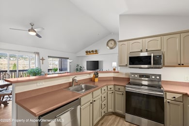 433 River View Dr unit 1605, New Castle, CO 81647 - photo 5