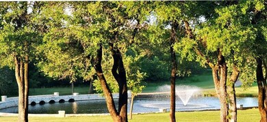 16002 Faircrest Dr, Whitney, TX 76692 - photo 3