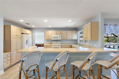 1031 Mendel Ave, Marco Island, FL 34145 - photo 5