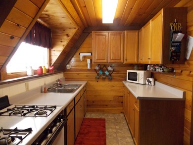 2882 big pine 005