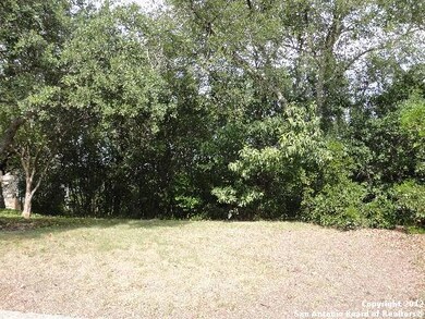 16817 Pescador, Helotes, TX 78023 - photo 3