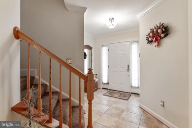 5917 Fox Glen Ct, Elkridge, MD 21075 - photo 5