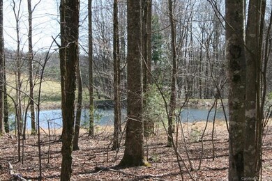 View of small pond in neighboring property.