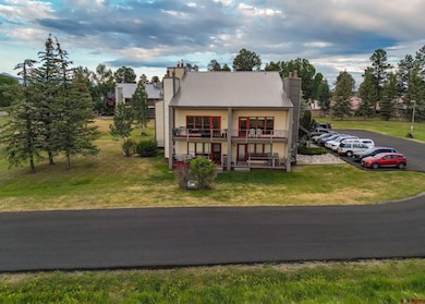 164 Valley View Dr unit 3218, Pagosa Springs, CO 81147 - photo 3