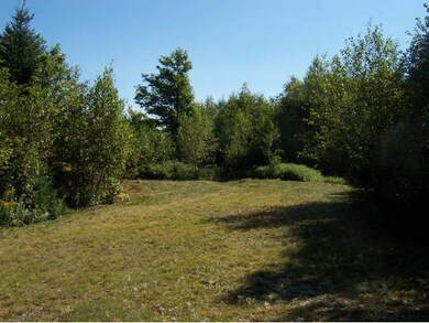 Top of cleared road