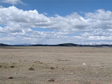 1920 Badger Basin Rd, Hartsel, CO 80449 - photo 5