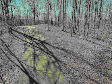 Lot 425 Fawn Ridge Rd, Parsons, TN 38363 - photo 3