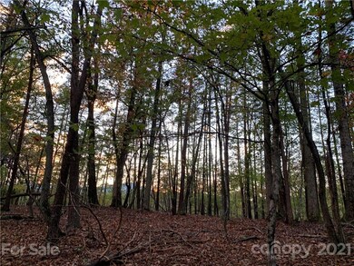 30 Granny Smith Ln unit 30, Lake Lure, NC 28746 - photo 2