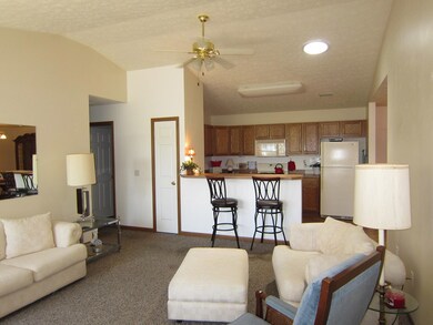 Living Room/KItchen view