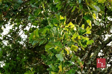 Rock Hill Rd, Wapanucka, OK 73461 - photo 7