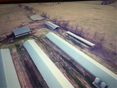 Three Litter Shed(s) and an incinerator
