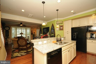 24674 Hutchinson Farm Dr, Sterling, VA 20166 - photo 4