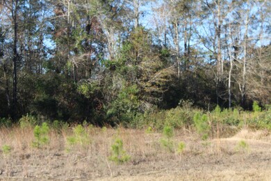 6.66 Agricola Latonia Rd, Lucedale, MS 39452 - photo 2