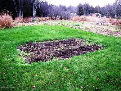 Potato Bed