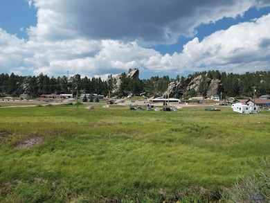 TBD Wazi Ln unit Just of Hwy 16W, Custer, SD 57730 - photo 5