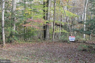 0 S Pines Rd, Lee, VA 20186 - photo 2