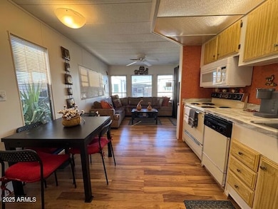 207 E Palo Verde Ln, Florence, AZ 85132 - photo 3