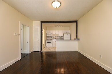 18 Roberts St unit 5, Brookline, MA 02445 - photo 4