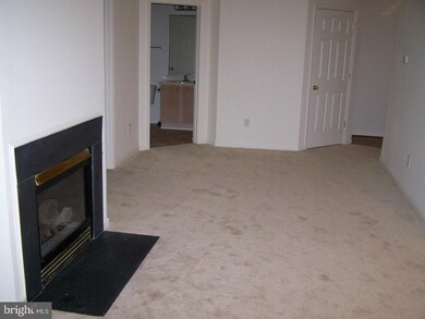 9685 Devedente Dr unit ., Owings Mills, MD 21117 - photo 5