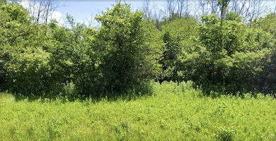 120 Percy Rd, Riga, NY 14428 - photo 3