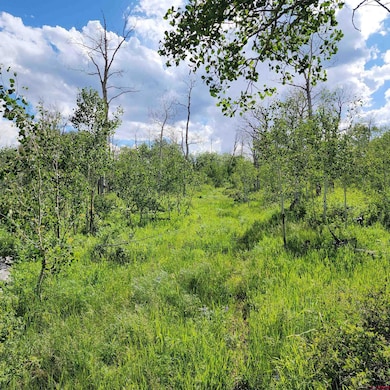 TBD Rd, Whitewater, CO 81527 - photo 7