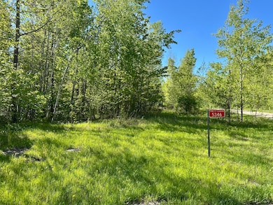 5346 Glacier Ridge Rd, Crandon, WI 54520 - photo 3