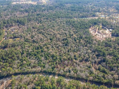 00 Baneberry Rd, Magnolia, TX 77355 - photo 7