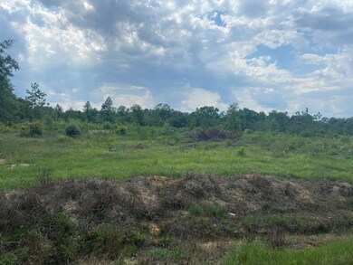 1793 Firetower Rd, Enigma, GA 31749 - photo 4