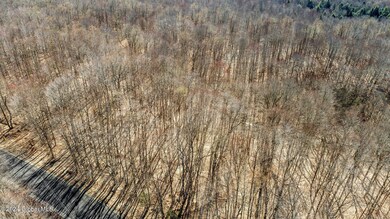 4-web-or-mls-wileytown-rd